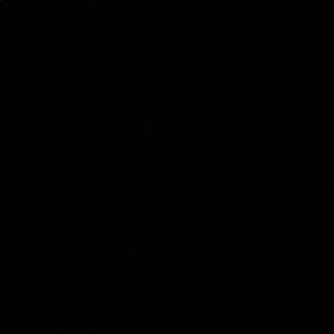 Meet your Posher, Nazmun